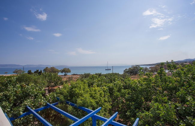 Aneli Villas - Villa Aegina - Foto 31