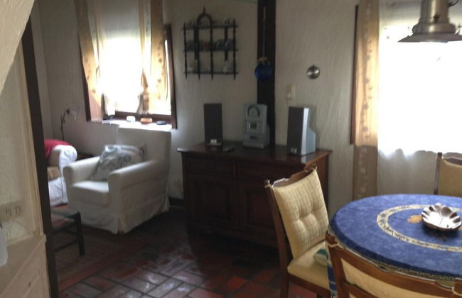 Dike House Near Breskens With Stream Garden - Photo 19