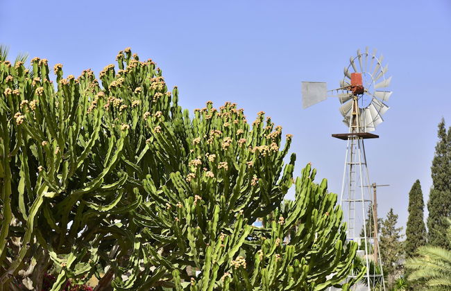 Napa Prince Hotel Apartments - Foto 61