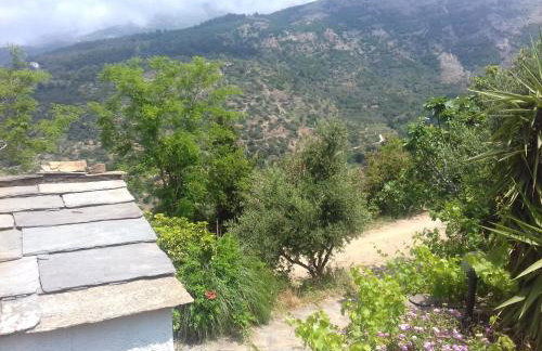 Ikarian Centre - Accommodation & mountain hiking - Photo 33