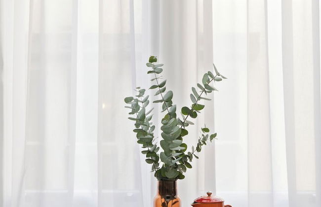 SACO Bristol- West India House - Foto 52