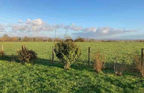 La chollerie de Marmaju - Foto 12