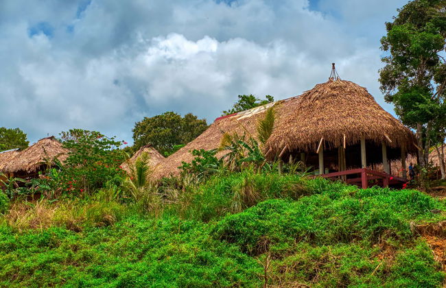 Excursión a una aldea indígena emberá - Foto 1