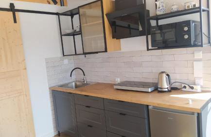 agroturystyka domek na trawie - Foto 46