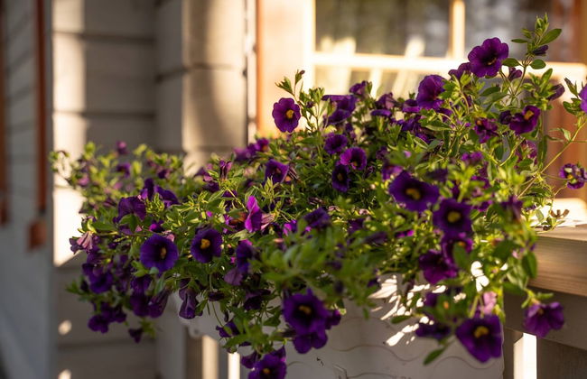 Holiday Village Kukkapää - Foto 15