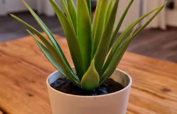 Ferienwohnung Alpenblick - Photo 23