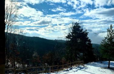 La casa nel bosco - Foto 21