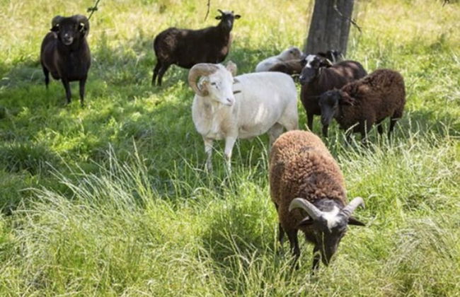 Zaißlhäusl Hof Ferienwohnungen - Photo 36