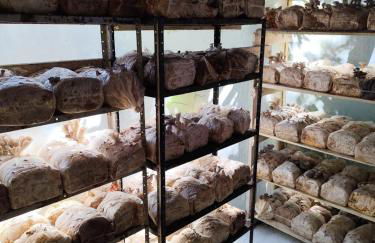 Cabanas - Sítio Refúgio do Barro Branco - Foto 22