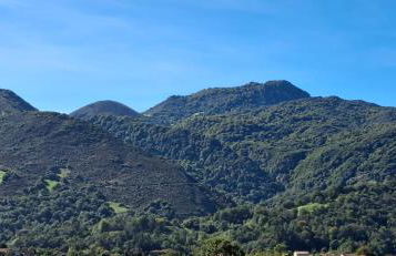 Casa Rural en Cezosu, Nava - Foto 34