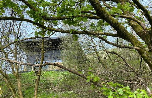 Luxury Lodge In The Treetops - Foto 10