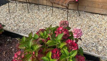 Le jardin de Lokijoy - Foto 3