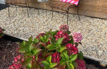 Le jardin de Lokijoy - Foto 3