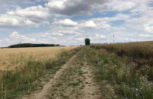 Ferienwohnung Pappelwiese - Foto 20