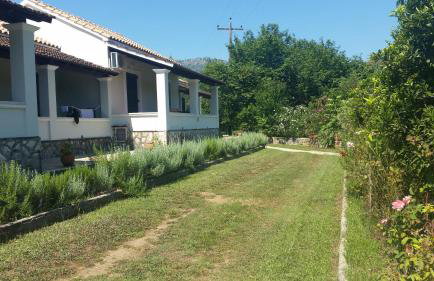 Lemontree Apartments - Foto 64