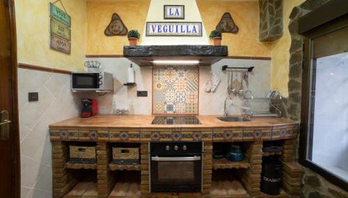 APARTAMENTO LA VEGUILLA - Photo 4