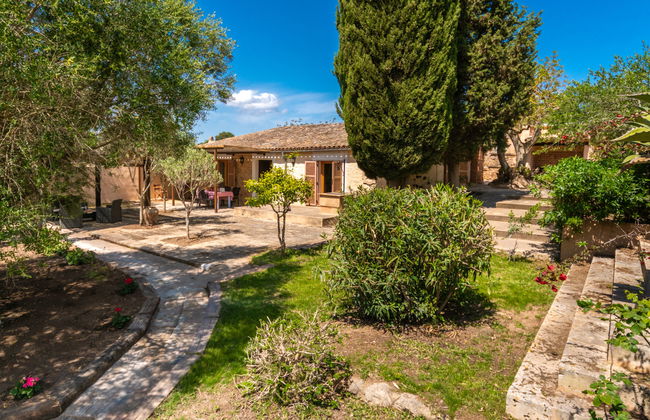 Capella Rubi - Photo 36