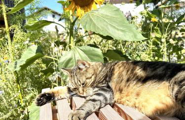 Ferienwohnung Anita - Foto 30