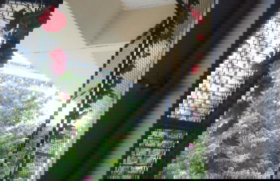 Pinang Beach Apartment at Bayu Emas - Photo 16