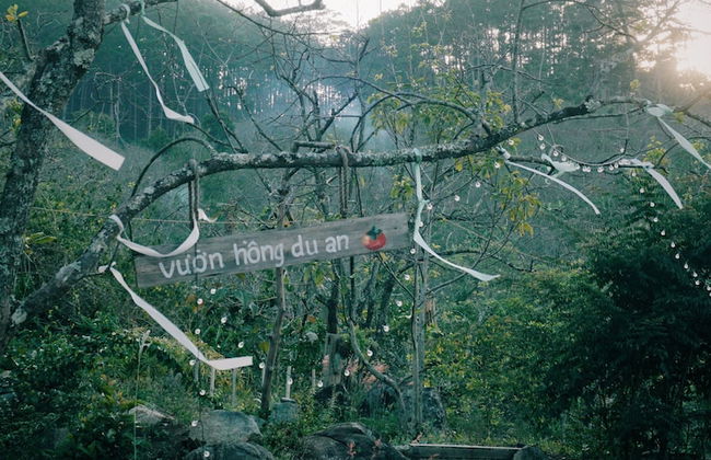 Du An Garden Retreat Forest - Photo 11