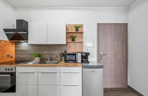 Business Apartment Lorsch WLAN & Parkplatz - Foto 17