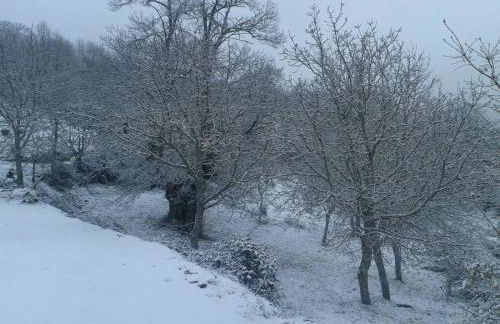 Quinta das Colmeias - Foto 28