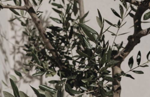 MORF - soulful suites - Foto 75