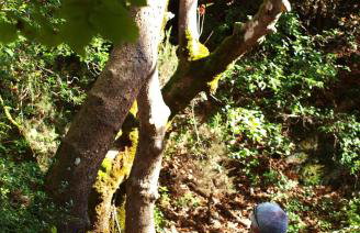 Country House Spitaki Λόχος - Foto 24