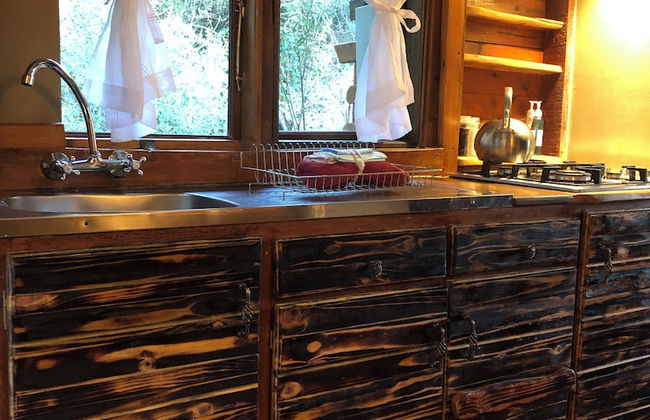 Teniqua Treetops - Foto 37