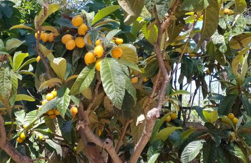 La prima casa - Foto 34