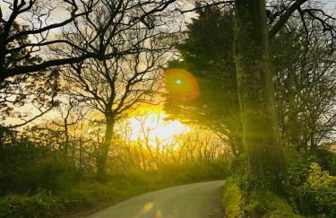 Downe Cottages - Foto 56