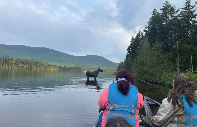 Downtown Greenville Spacious Apartment - Photo 21