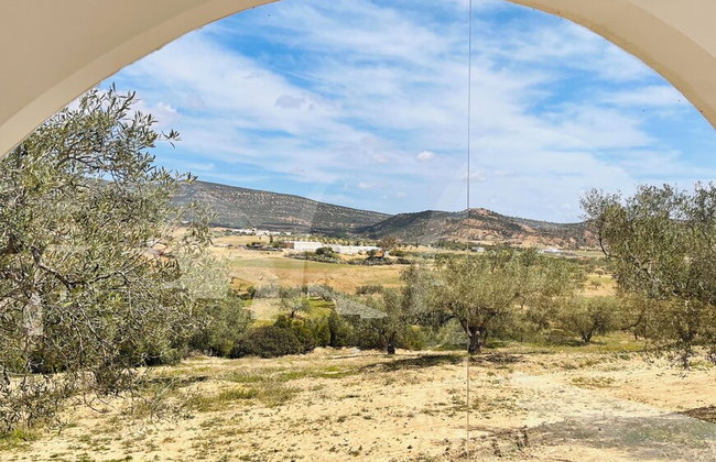 Villa in the Mountains Hammamet - Foto 68