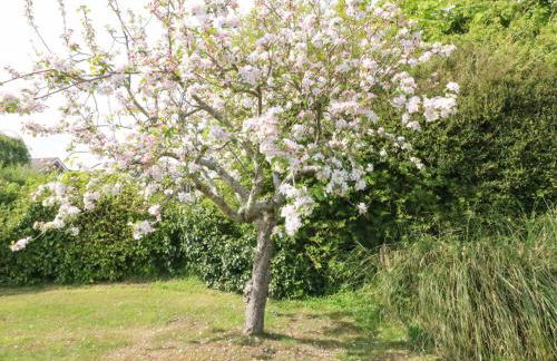 Shipton Hill View - Photo 35