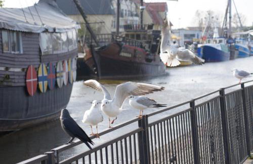 Apartament Pod Papugami w Porto Łeba - Foto 19