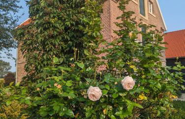 Alter Kornspeicher im Münsterland - Foto 13