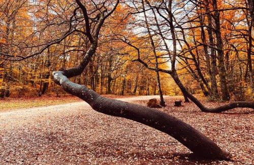 Il Pianerottolo - Foto 22