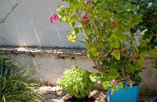 Summer Garden Studio - village location - Foto 27