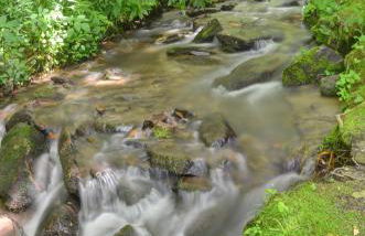 Panther Creek Cabins - Foto 1