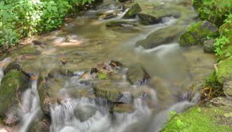 Panther Creek Cabins - Foto 1