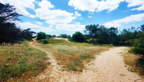 Appartement face mer 4 personnes linge de maison sur demande - Foto 4
