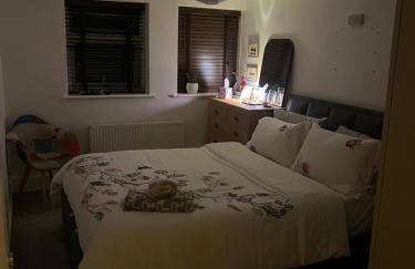 Room at Wallington Green room for professionals, near station, 30 min to London Bridge, 27 min to LDN Victoria - Foto 16