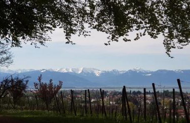 Alpenblick 3 - Photo 21