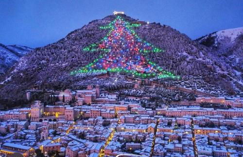 La Signora Dei Fiori - Foto 48