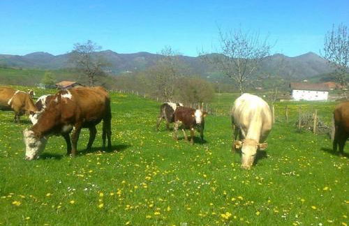 Apartamentos Rurales Kastonea - Foto 1