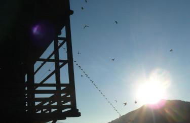 Berggasthaus Agritur Moserhof - Photo 49