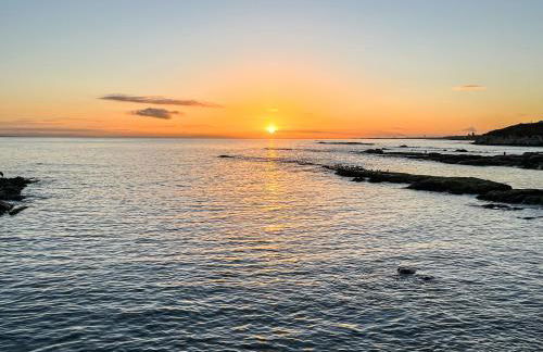 Fisher Gallery - Foto 22