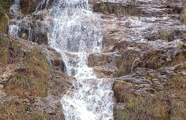 Les myrtilles La Pierre Saint Martin - Foto 6