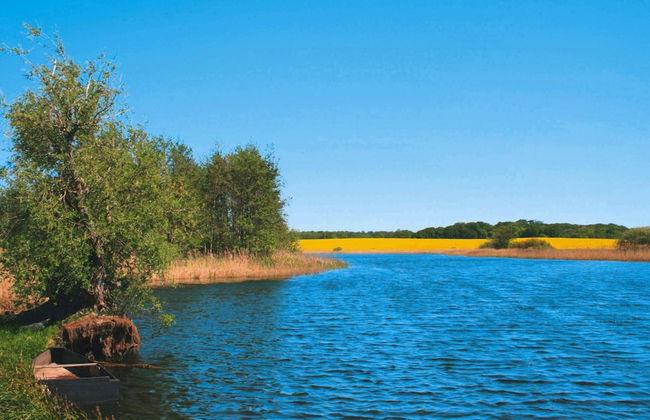 Bungalow am See mit Ruderboot in Klein Labenz - Photo 32