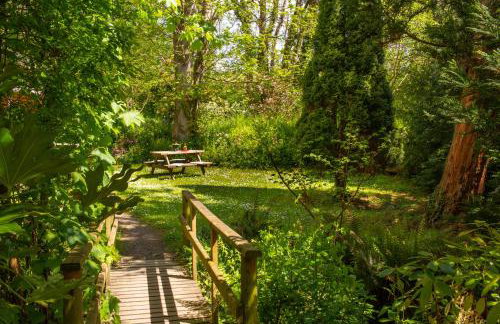 Fiddlers Green Log Cabin Tenby - Foto 19